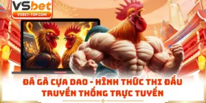 Đá Gà Cựa Dao - Hình Thức Thi Đấu Truyền Thống Trực Tuyến