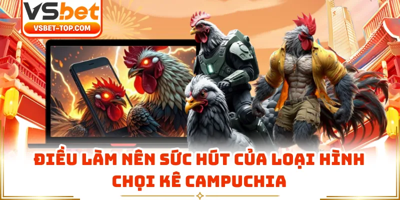 Điều Làm Nên Sức Hút Của Loại Hình Chọi Kê Campuchia